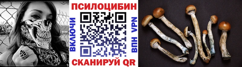 купить   Бежецк  Галлюциногенные грибы мицелий 