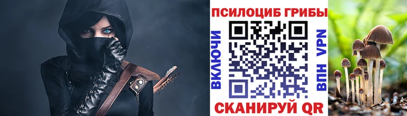 Галлюциногенные грибы Cubensis Бежецк